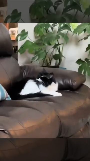 сдохнуть хочешь?!