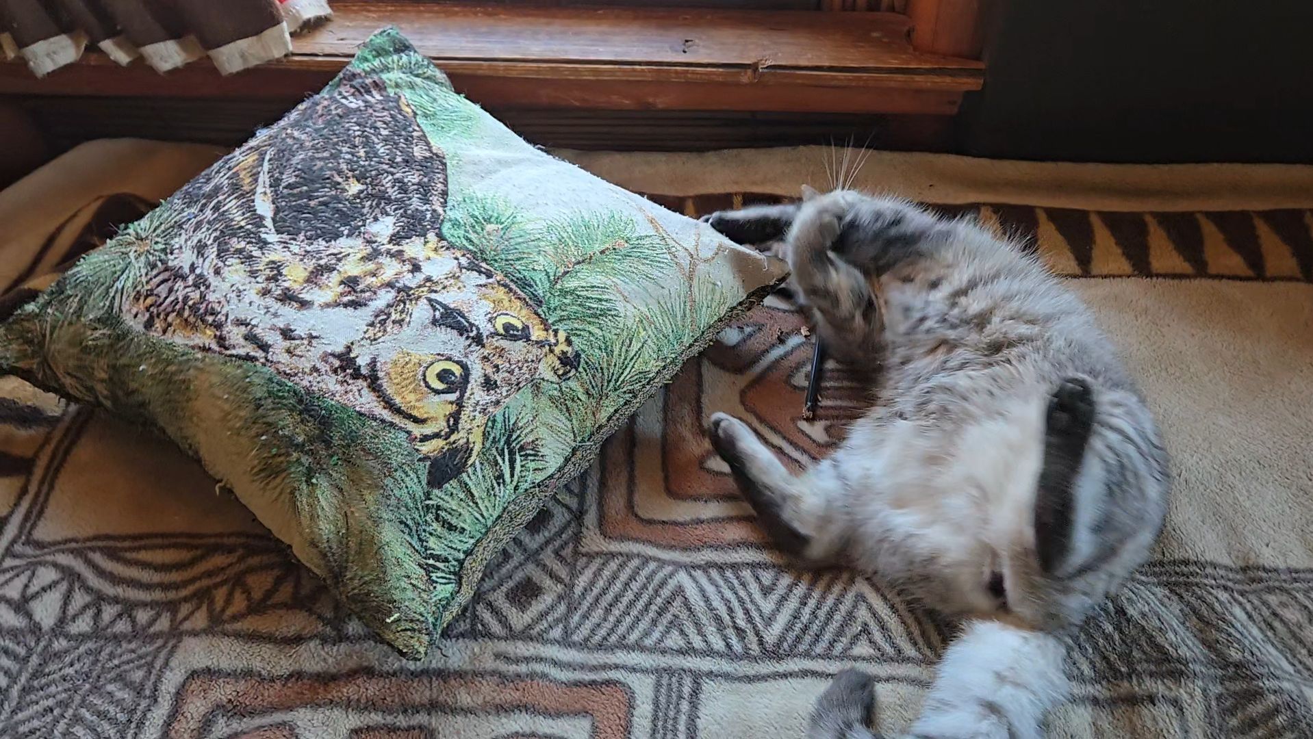 Деревня в холода, столичные деликатесы и серая непоседа смотреть онлайн