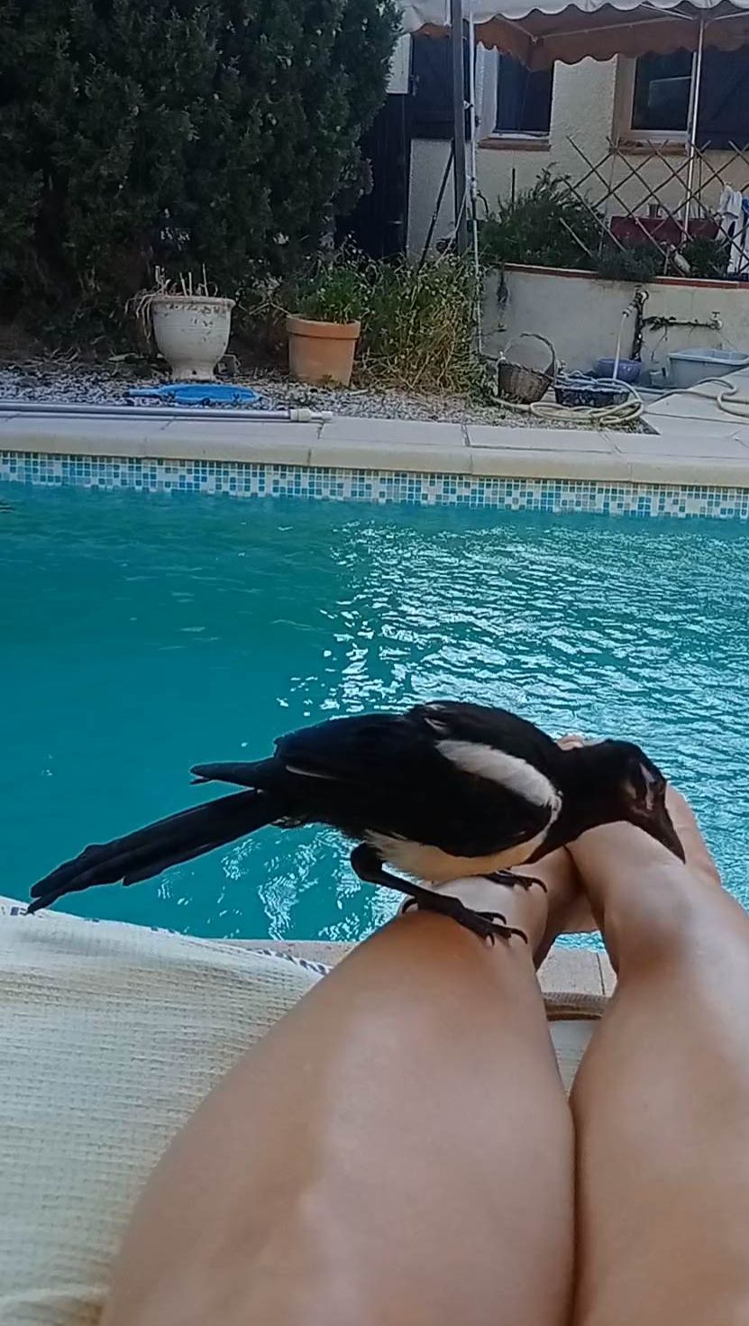 Очень интересно ползать по маме?! Ричи ИЩЕТ СОКРОВИЩА В МОИХ НОГАХ!