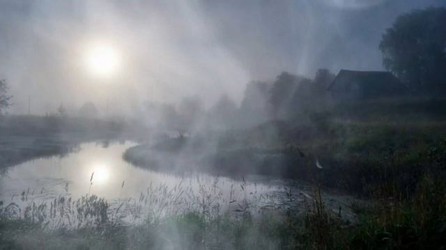 Человек в обличии зайца, страшный путь домой(истории лесника, история моего папы)