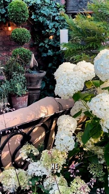 У каждого из нас….mp4