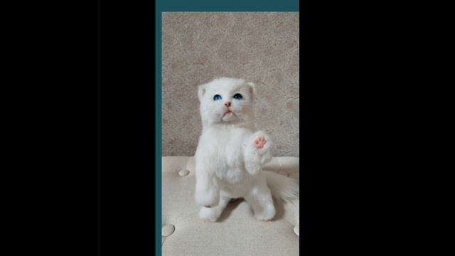 Реалистичный котёнок.mp4