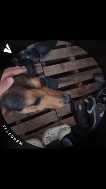 Лучшие воспоминания #shorts