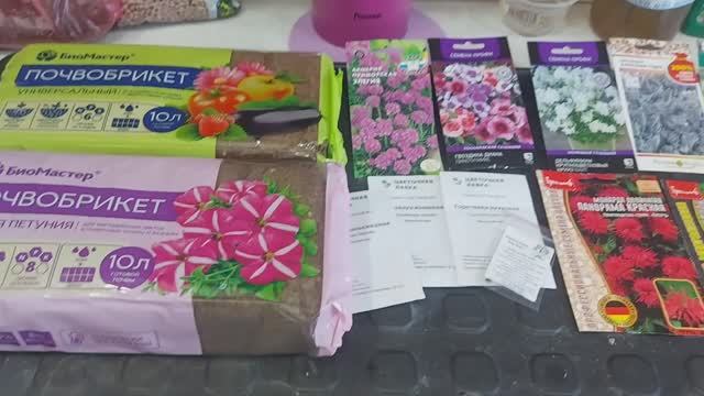 Рассада подрастает🌸. Посеяла новые цветочки. Продолжаю заполнять свой стеллаж.