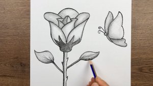 Как легко нарисовать розу и бабочку простым карандашом