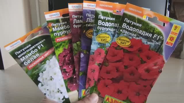 ПЕТУНИЯ. ВЫБИРАЕМ САМЫЕ КРАСИВЫЕ ЦВЕТЫ #петуния #семена #цветы #сад #посев смотреть онлайн