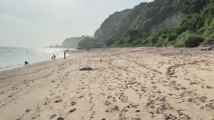 Беженец🇮🇩Бали. ОПЯТЬ ЗАМУТИЛИ С БАЛИЙКОЙ🤦🏽_♂️