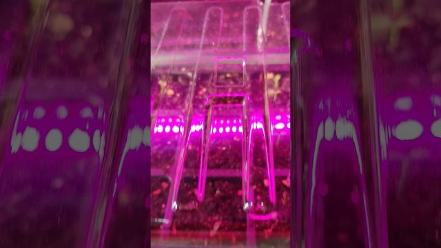 Посеяла Астру в январе✅
Посмотрим что выйдет… 🌹