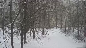 Вид из окна