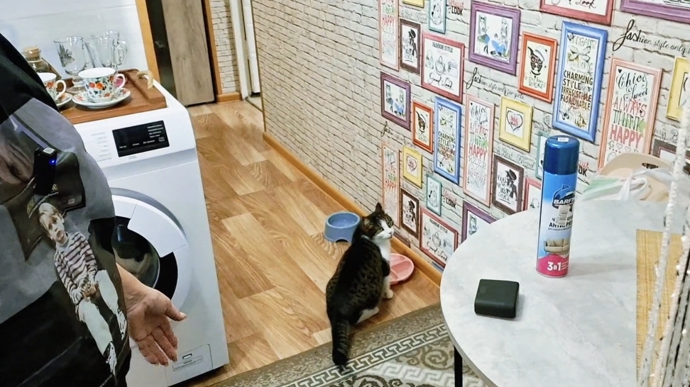 Вот так она и появилась у меня🥰 смотреть онлайн