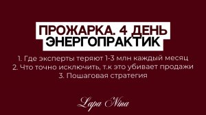 Прожарка. 4 день. Энергопрактик. Лапа Нина / Lapa Nina