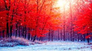 ❄️ ОЧЕНЬ КРАСИВАЯ УСПОКАИВАЮЩАЯ МУЗЫКА ДЛЯ СНА 🎵 РАССЛАБЛЯЮЩАЯ МУЗЫКА ДЛЯ ДУШИ В ОСЕННЕМ ПАРКЕ