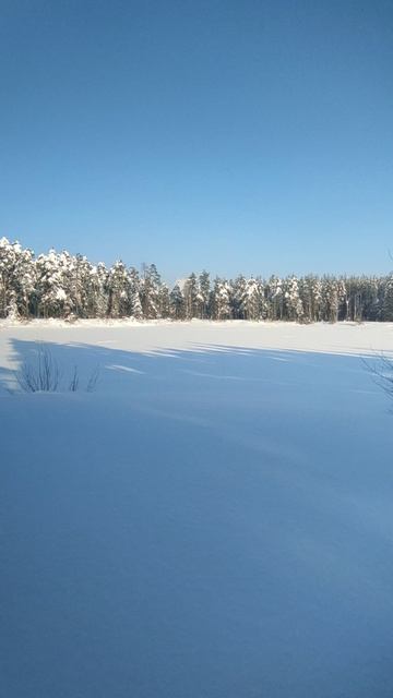 2 Февраля 2026 смотреть онлайн