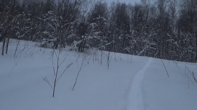 Охота на зайца 28.01.2026г. Мгновенный подьeм, заяц оказался дорожником. смотреть онлайн