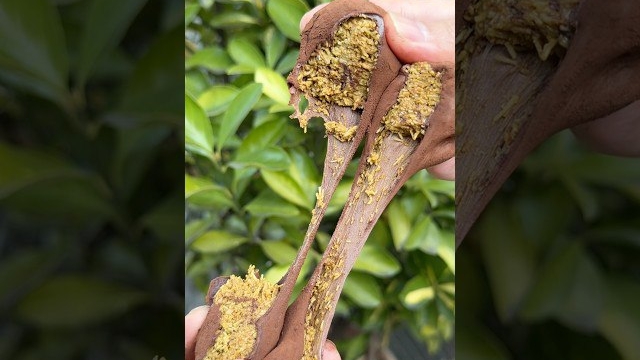 Вкуснейшие шоколадные моти из Дубая, ставшие вирусными в Корее 🍫