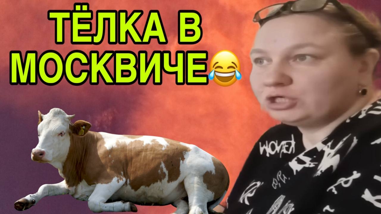 ТЕЛКА И МОСКВИЧ. 😆😆😆 ОЛЬГА ИЗ ЗАУРАЛЬЯ. ОБЗОР. смотреть онлайн