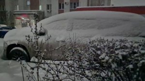 Городской парк в снегу.