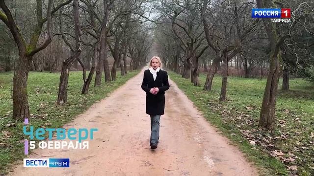 «Метеовести» Вести Крым: К какой погоде готовиться крымчанам со 2 по 8 февраля? смотреть онлайн