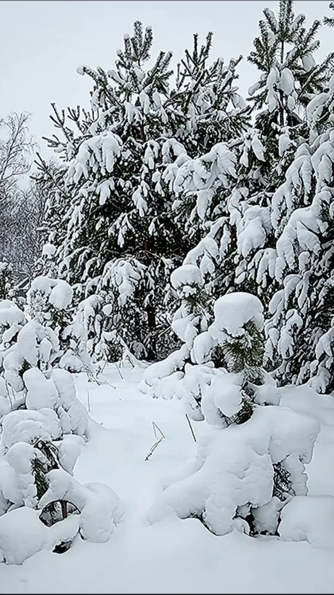 Зимняя Сказка смотреть онлайн