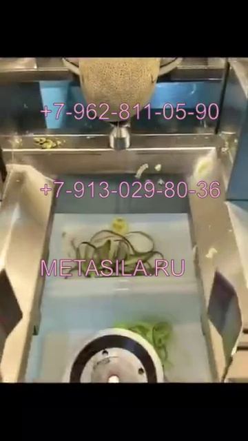 Автоматическая машина для чистки фруктов SWL654