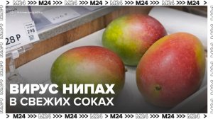Москвичам на Бали рекомендовали отказаться от свежевыжатых соков из-за вируса Нипах - Москва 24