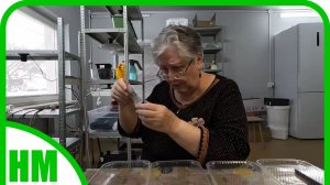 1-2 февраля. Сею петунии. Покупки в ВБ.