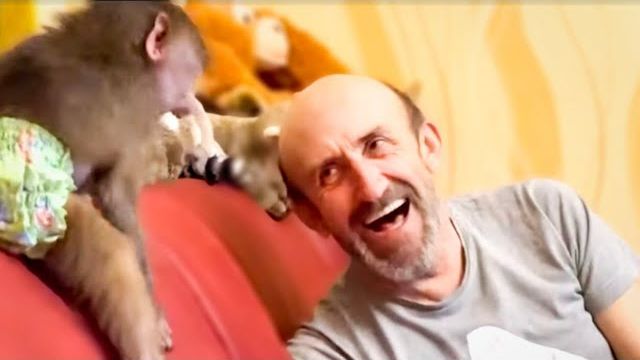 Я спрятала Степашку и Люська РАЗОЗЛИЛАСЬ на весь Мир))) Я спрятала Степашку и Люська РАЗОЗЛИЛАСЬ на весь Мир)))