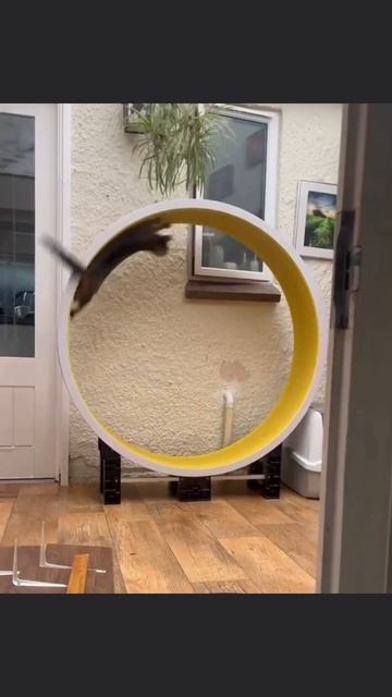 Это мог быть идеальный экран загрузки смотреть онлайн