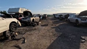 Авторазборка США, Nissan  350Z, старые BMW, встретил енота #4(АвтоRazbor)