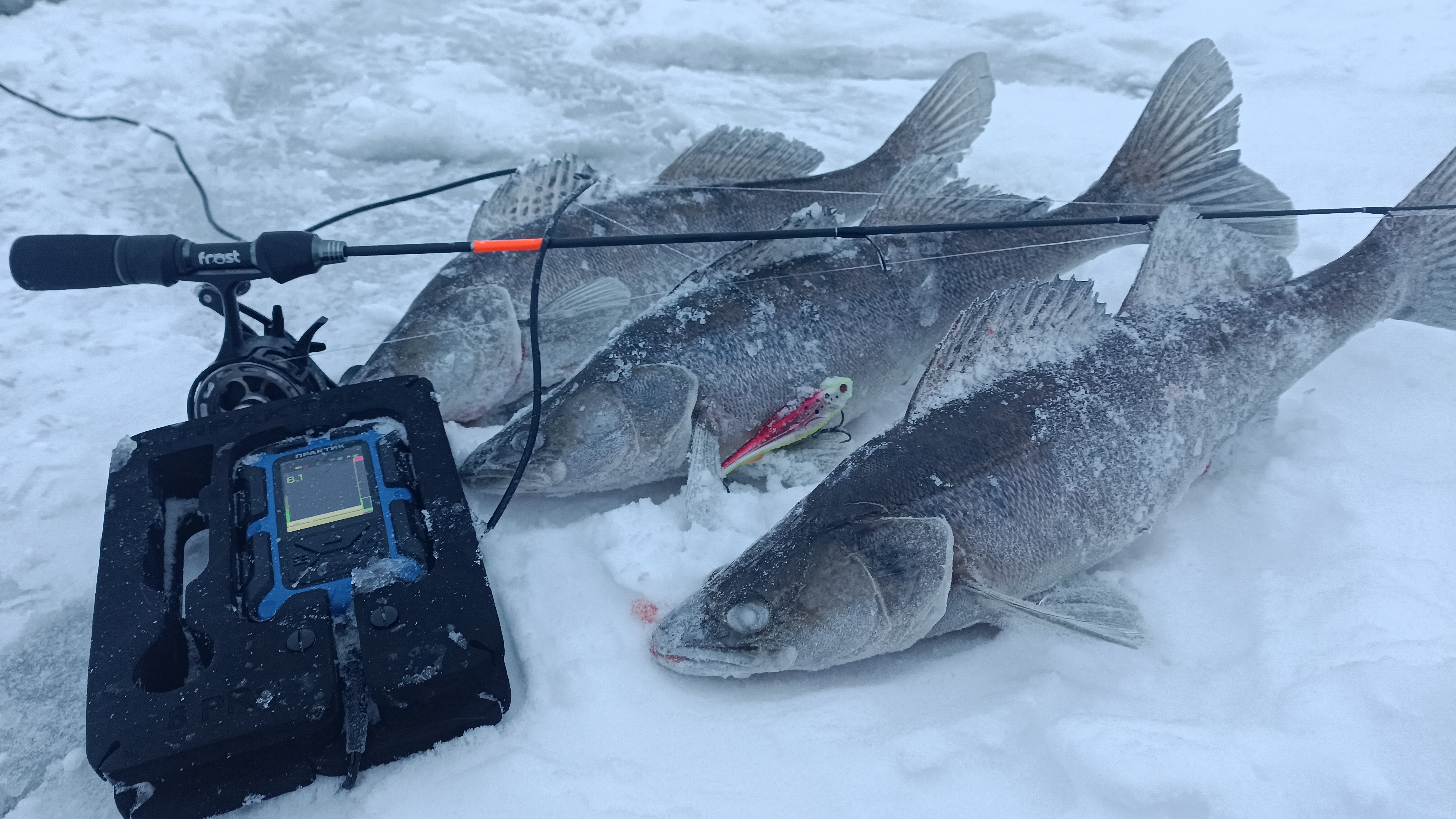 Рыбалка на судака , судак на виб . смотреть онлайн