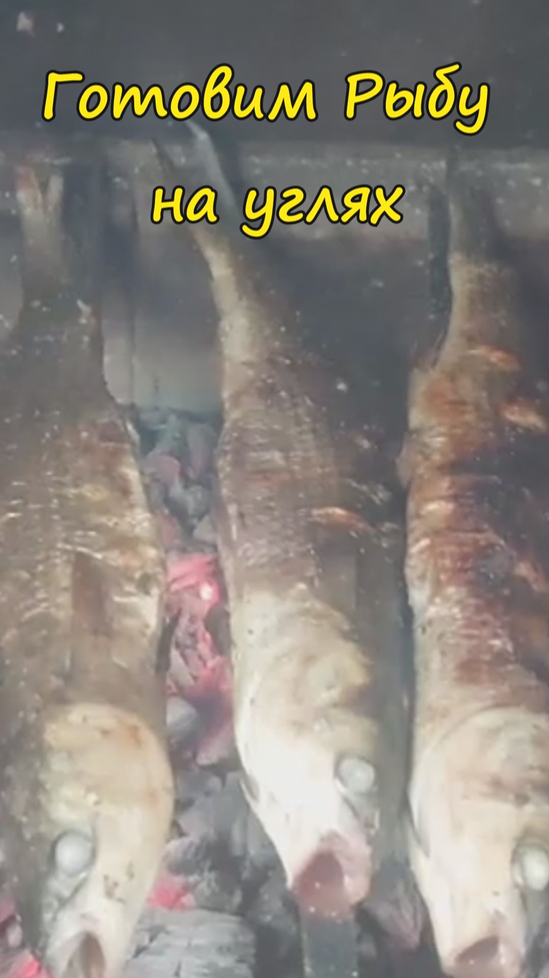 Рыба на углях #рецепты #рыбанамангале #еда