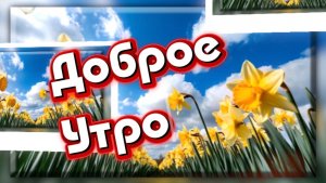 Доброе утро! Великолепно жить на свете! Песня с добрым утром