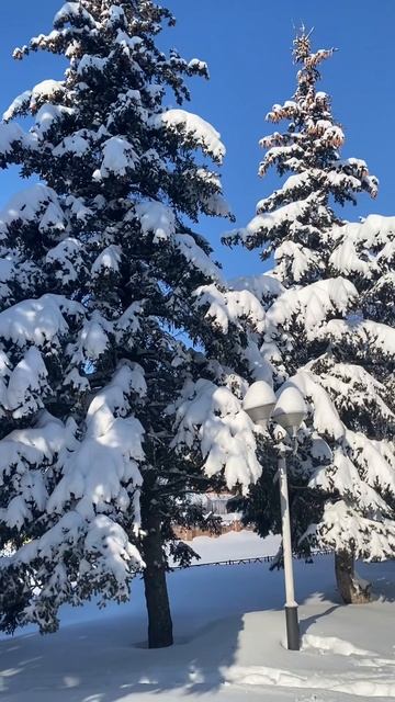 Февраль в моём городе❄️