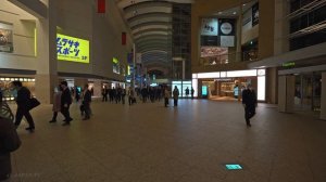 Вечерняя прогулка по Йокогаме Минато Мирай 🌃 Япония в огнях 🚶♂️✨