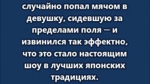 Идеальное извинение по-японски