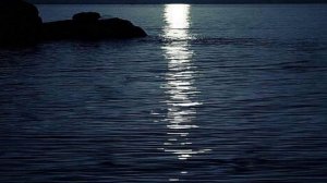 198  Любовь и море. 198 диск.