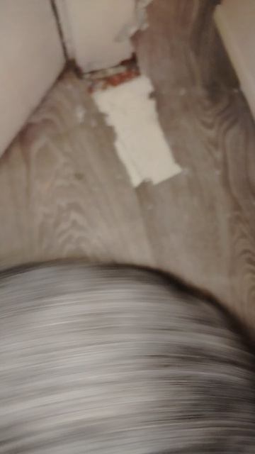 Марсель нашел чем себя занять