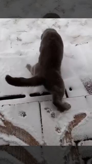 На летней резине