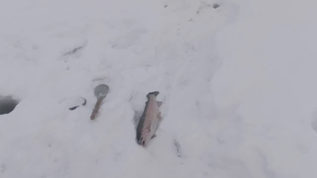 5762.mp4 смотреть онлайн