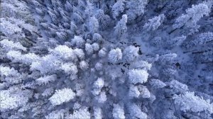 Такой день бывает раз в 100 лет. Как исполнить мечту.