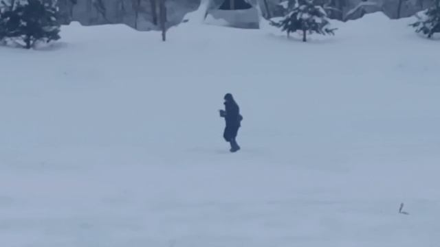 5775.mp4 смотреть онлайн