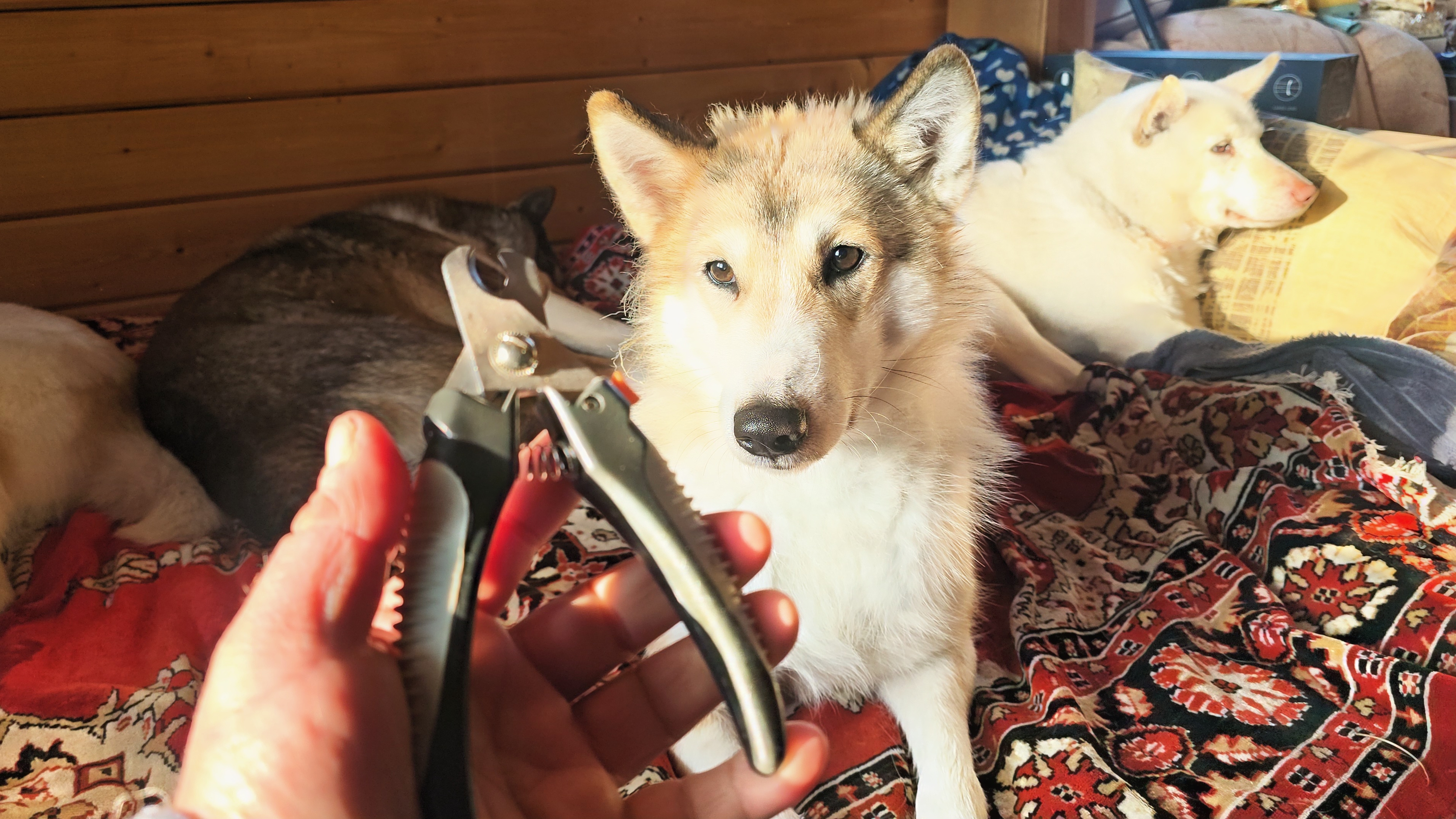 С мороза в дом смотреть онлайн