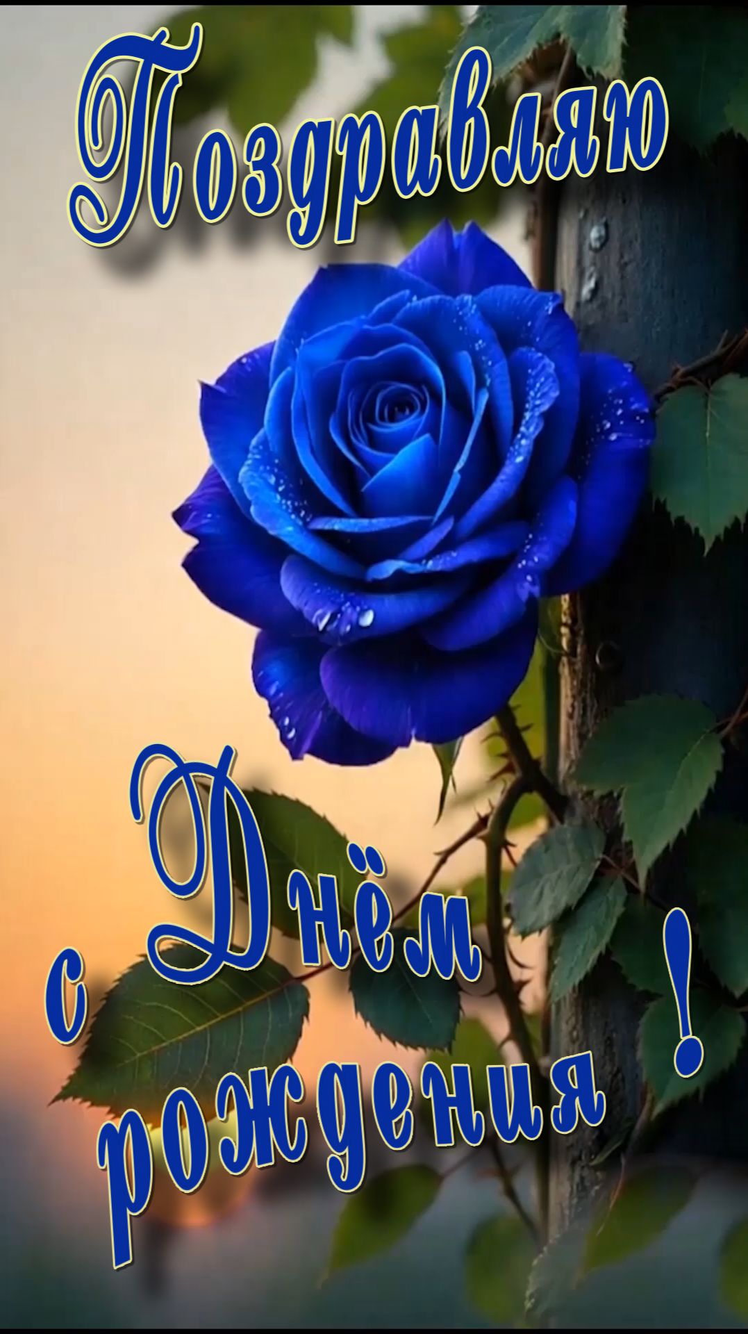С Днём рождения !