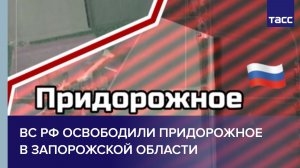 ВС РФ освободили Придорожное в Запорожской области