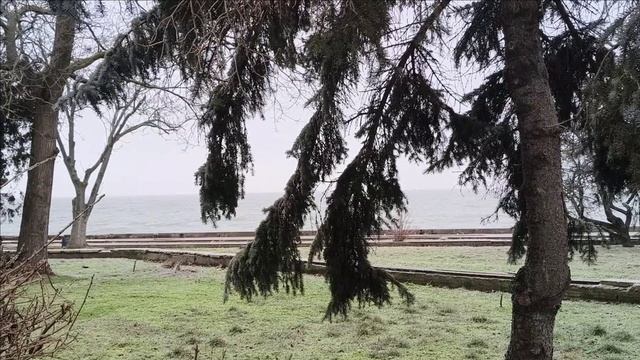 Керчь. Прогулка 02.02.26 смотреть онлайн