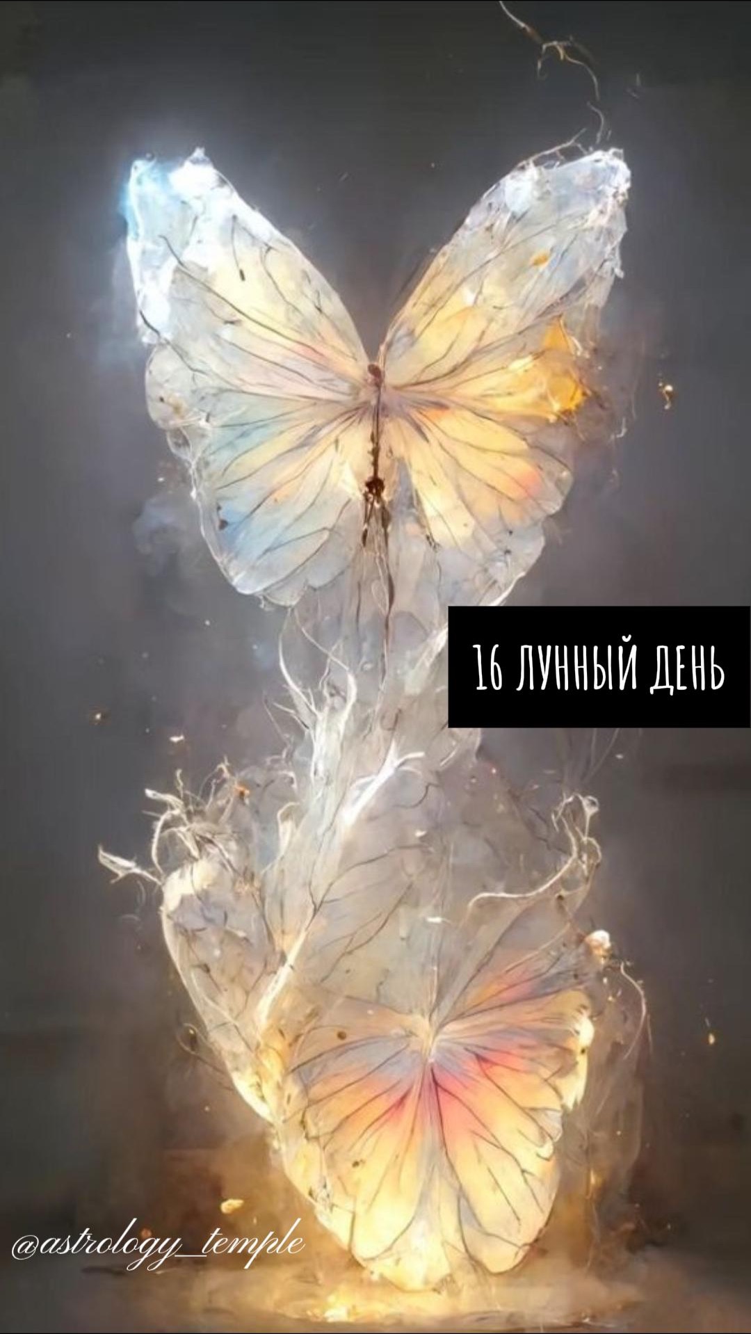 📅 Вторник, 3.02.2026 🌛 16 Лунный день 🌕 Луна в Деве (знаковый день для Дев) 🪄 смотреть онлайн