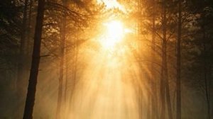 Свет и Тень