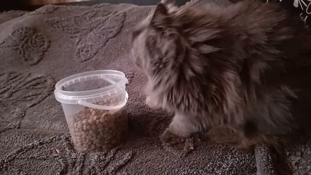 У нас ещё один ребёнок :)