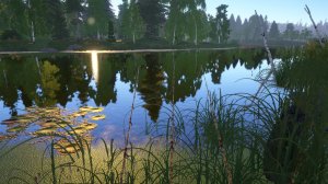 Сегодня пойдём за лещём