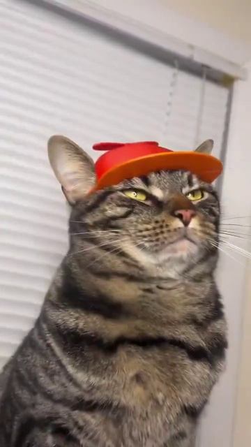 поделки на 3 D принтере